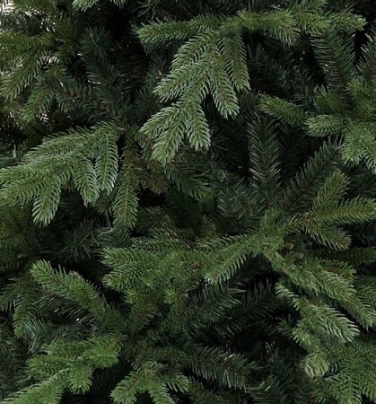 Spitsbergen 150 - afbeelding 2