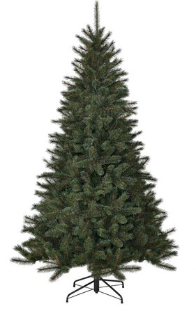 Toronto pine 120 - afbeelding 1