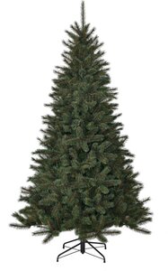 Toronto pine 120 - afbeelding 1