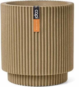 Vaas cilinder groove nl d36h38 bge